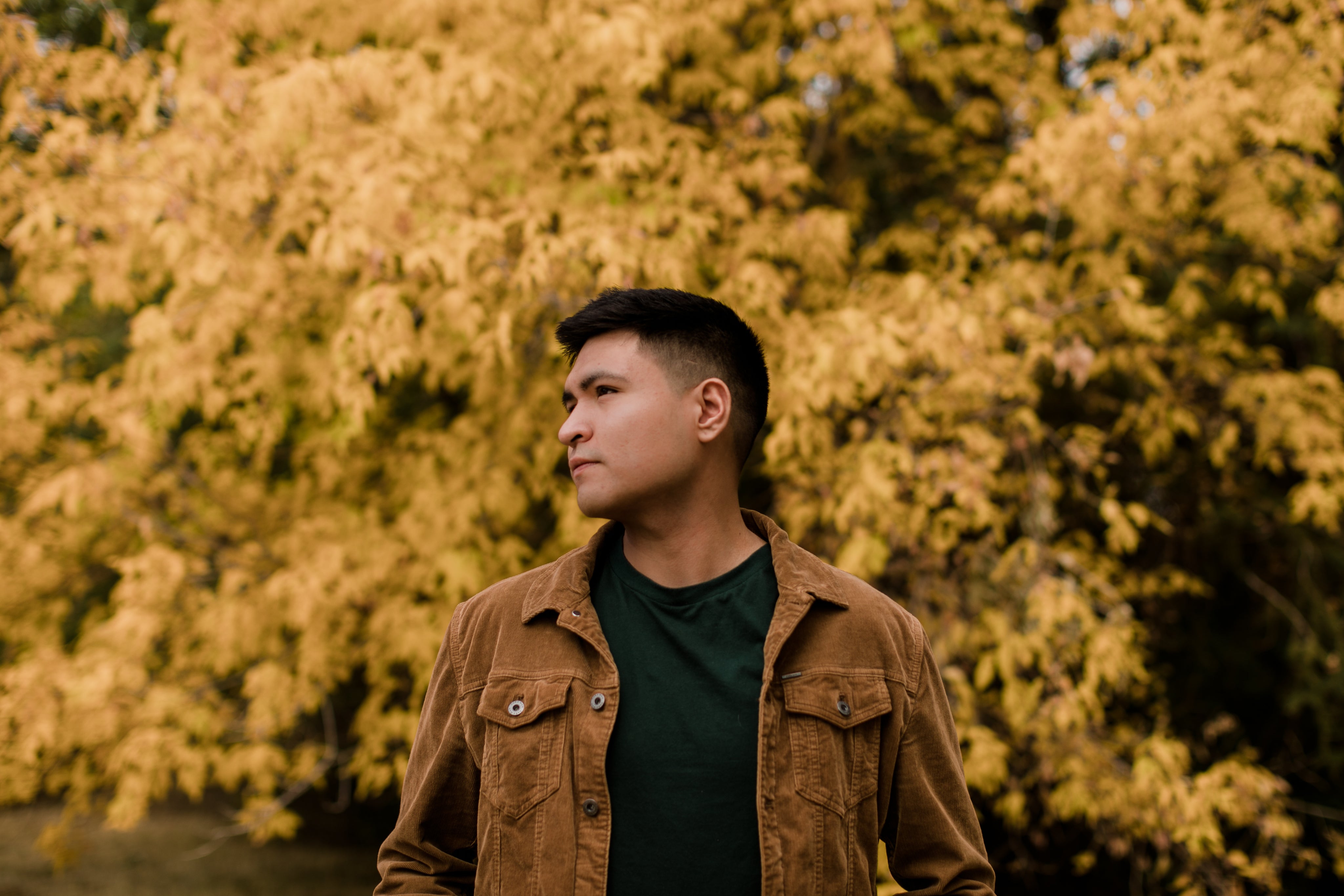 <em><strong>James K.</strong></em>